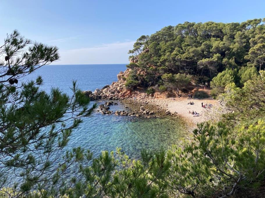 Bandol Roc Beach Vue Mer Grand T3 Face A La Plage Avec Parking Bagian luar foto